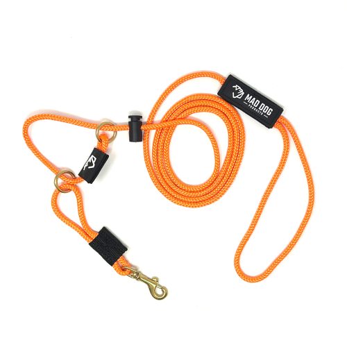 English Slip Leash / Safety Strap Combo Leash – Premium