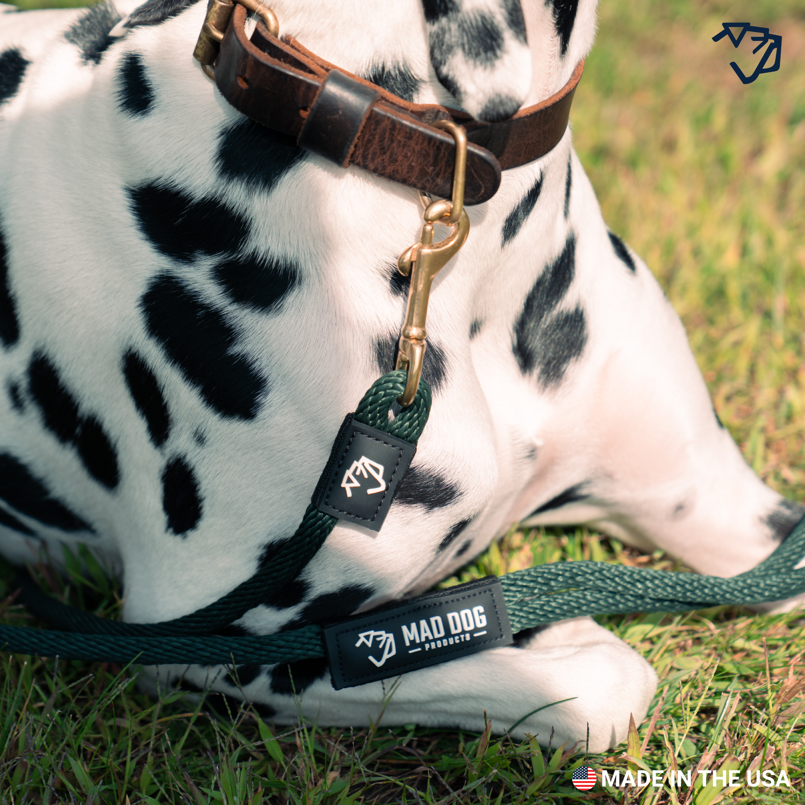 Quart Standard Clip Leash A+4