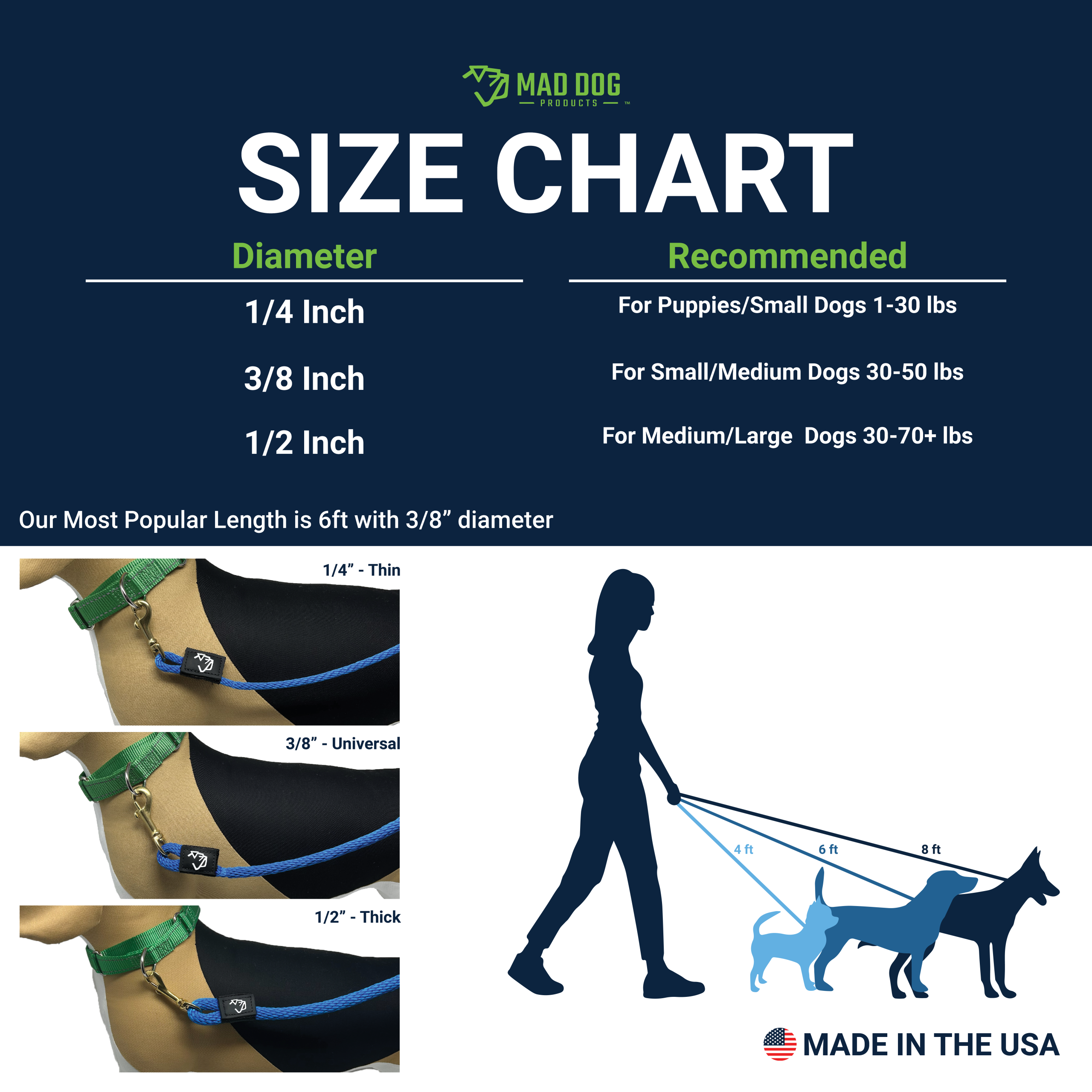 Standard Clip Leash A+3