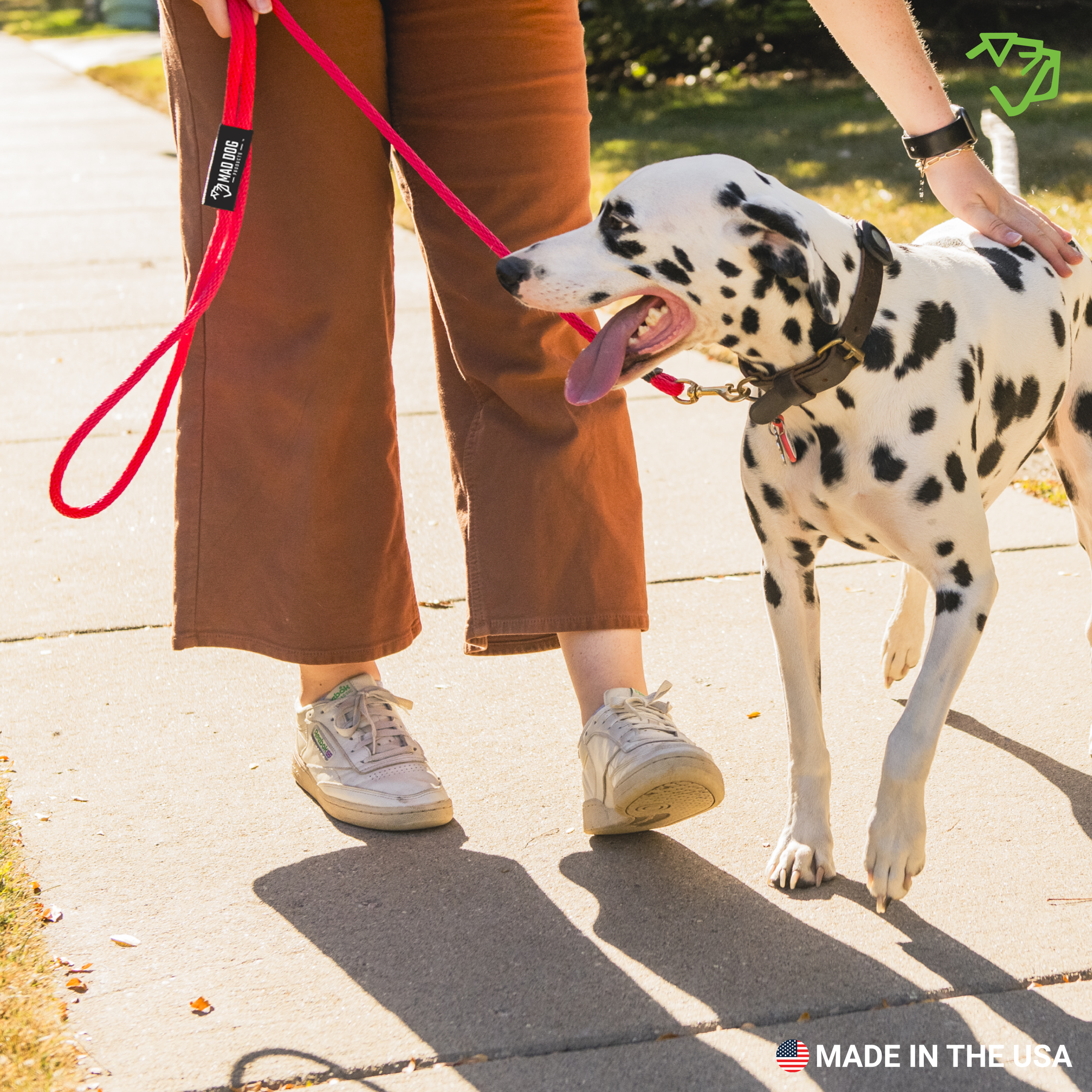 Standard Clip Leash A+5