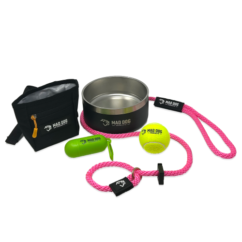 English Slip Lead Bundle – Leash, Bowl, Treat Pouch, and More